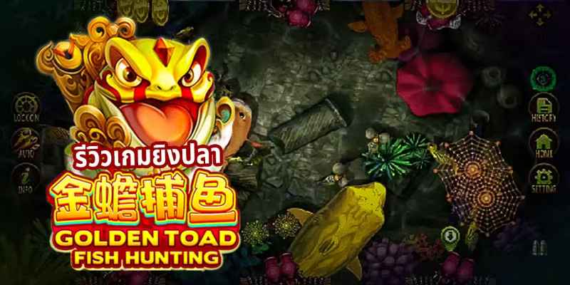 Tổng Quan Về Golden Toad Fish Hunting